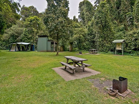 Forest Tops Campground - Tweed Heads Accommodation 0