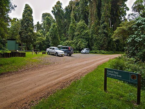 Forest Tops Campground - Tweed Heads Accommodation 1