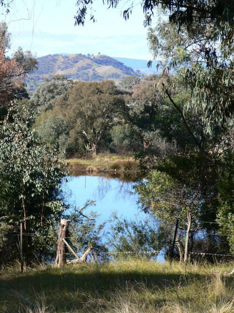 Gaddleen Grove Cottages - Tweed Heads Accommodation 6