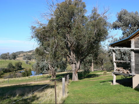 Gaddleen Grove Cottages - Tweed Heads Accommodation 9