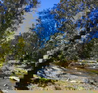 Highfield Farm and Woodland Bush Campsites - Tweed Heads Accommodation