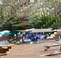 Pebbly Beach campground - Yuraygir National Park - Tweed Heads Accommodation