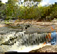 Kingfisher Pool campground - Tweed Heads Accommodation