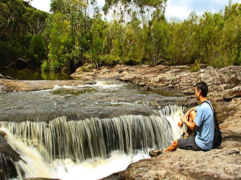 Kingfisher Pool Campground - Tweed Heads Accommodation 0