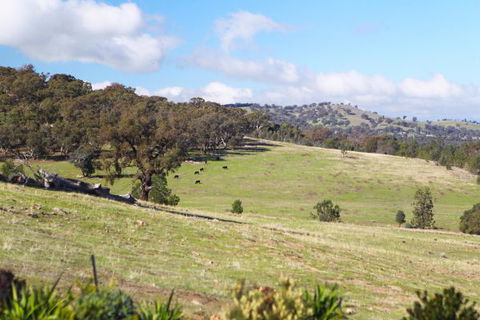 Longview Holiday Let Glenrowan - Tweed Heads Accommodation 5