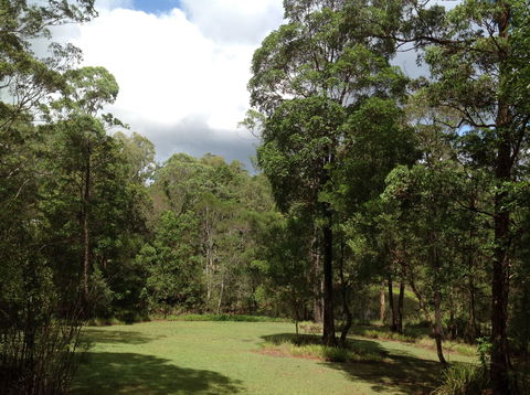 Maleny Country Cottages - Tweed Heads Accommodation 2