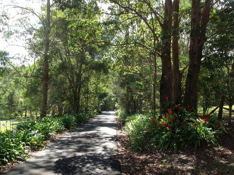 Maleny Country Cottages - Tweed Heads Accommodation 8