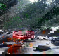 nightfall  camp - Tweed Heads Accommodation