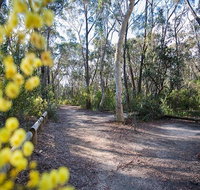 Perrys lookdown campground - Tweed Heads Accommodation
