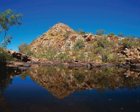 Silent Grove Camp At Wunaamin Miliwundi Ranges Conservation Park - Tweed Heads Accommodation 0