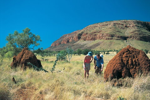 Silent Grove Camp At Wunaamin Miliwundi Ranges Conservation Park - Tweed Heads Accommodation 3