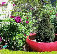 Armidale Pines Motel - Tweed Heads Accommodation