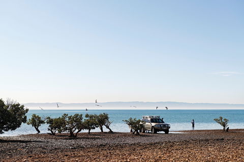 Camping At Point Lowly & Fitzgerald Bay - Tweed Heads Accommodation 0