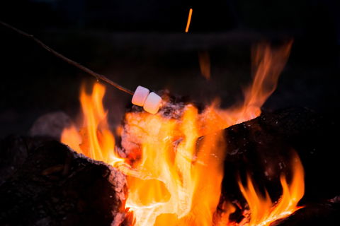 Glenworth Valley Outdoor Adventures Camping - Tweed Heads Accommodation 4