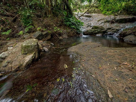 Jacky Barkers Campground - Tweed Heads Accommodation 1