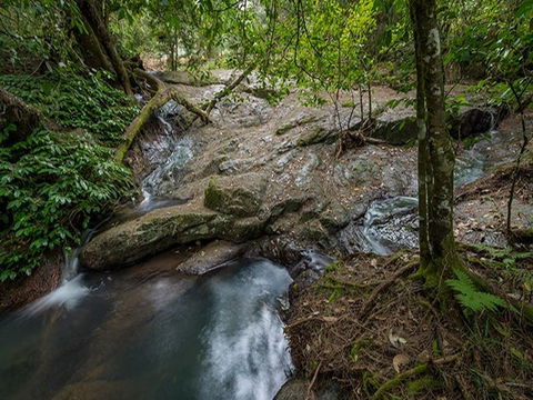 Jacky Barkers Campground - Tweed Heads Accommodation 3