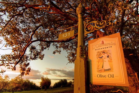 L'Oliveraie - Tweed Heads Accommodation 1