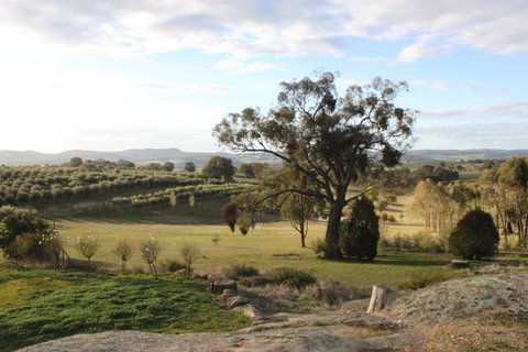 L'Oliveraie - Tweed Heads Accommodation 3