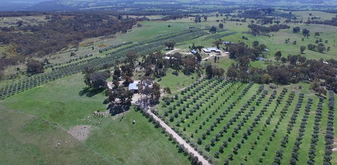 L'Oliveraie - Tweed Heads Accommodation 6