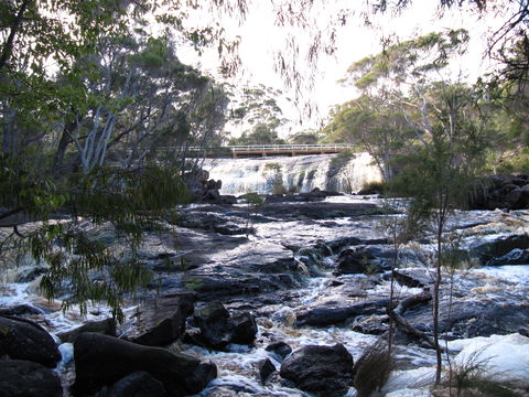Nornalup Riverside Chalets - Tweed Heads Accommodation 0