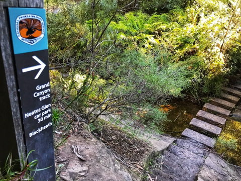 Redleaf Resort - Tweed Heads Accommodation 1