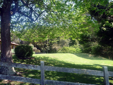 Ridgetop Hideaway - Tweed Heads Accommodation 3