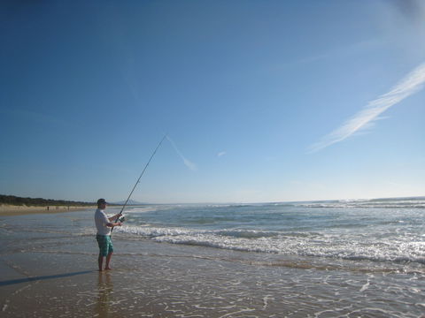The View In Scotts Head - Tweed Heads Accommodation 9