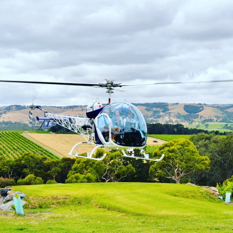 The Vineyard Retreat McLaren Vale - Tweed Heads Accommodation 6