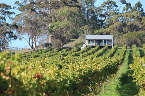 The Sleeping Lady Private Retreat - Tweed Heads Accommodation 1