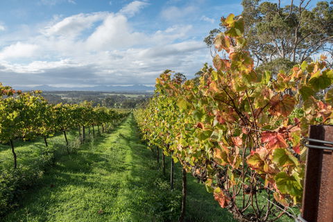 The Sleeping Lady Private Retreat - Tweed Heads Accommodation 2