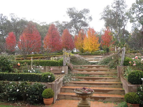 Wejalee Bed And Breakfast - Tweed Heads Accommodation 1