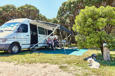 Anglesea Family Caravan Park - Tweed Heads Accommodation 2