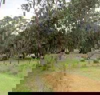 Ben Halls campground - Tweed Heads Accommodation