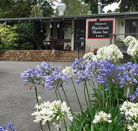 Blackheath Motor Inn - Tweed Heads Accommodation