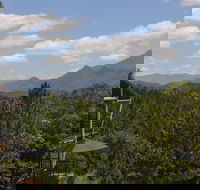 Ecoasis - Tweed Heads Accommodation