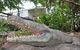 Hidden Valley Holiday Park - thumb 0