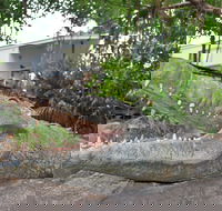 Hidden Valley Holiday Park - Tweed Heads Accommodation