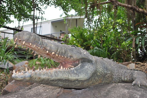 Hidden Valley Holiday Park - Tweed Heads Accommodation 0