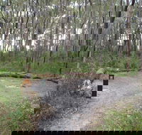 Meroo Head campground - Tweed Heads Accommodation
