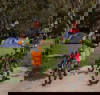 Ngarigo campground - Tweed Heads Accommodation