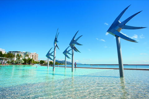 NRMA Cairns Holiday Park - Tweed Heads Accommodation 1