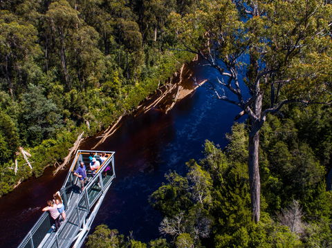Tahune Adventures Tasmania - Lodge And Cabin - Tweed Heads Accommodation 1