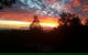 Tamborine Mountain Bed And Breakfast - thumb 2