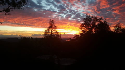 Tamborine Mountain Bed And Breakfast - Tweed Heads Accommodation 2