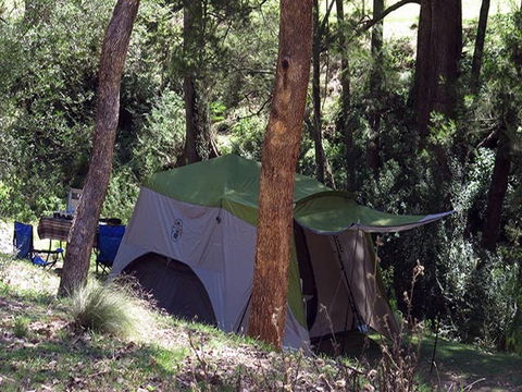 Abercrombie Caves Campground - Tweed Heads Accommodation 0