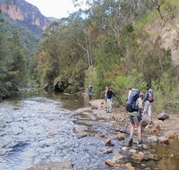 Acacia Flat campground - Tweed Heads Accommodation