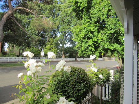 Arendon Cottage - Tweed Heads Accommodation 1