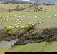 Camp on Allyn - Tweed Heads Accommodation