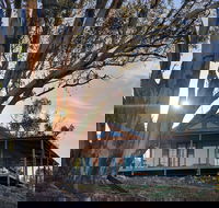 Kestrel Nest EcoHut - Tweed Heads Accommodation