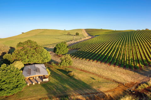 Mt Bellevue - King Valley - Tweed Heads Accommodation 0